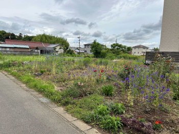  犬山市大字塔野地字南ノ切