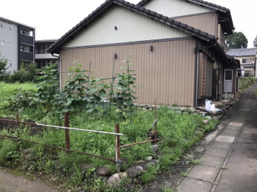 detached 犬山市大字犬山字西古券