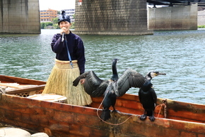 鵜匠と翼を広げる鵜