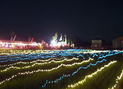 写真：夏のイベント