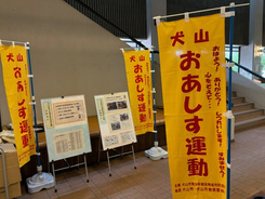 写真：おあしす運動