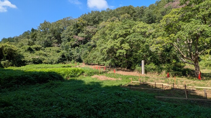 ヒトツバタゴ自生地（2026年8月24日撮影）