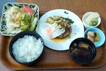 おろし豆腐ハンバーグ野菜のせ