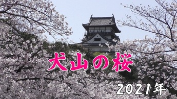 犬山の桜2021サムネイル画像