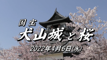 犬山城と桜サムネイル画像