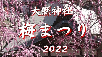 大縣神社　梅まつり（2022年）サムネイル画像