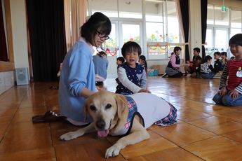 職犬ココとココをなでる男児