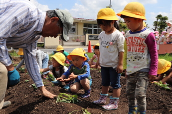 地域の男性が土を押さえ、それを園児がみつめているところ