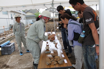 今回の発掘調査で出土した遺物の説明を受ける見学者