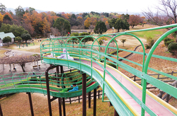 ひばりヶ丘公園の写真