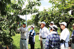 モモ栽培サポーター養成講座で桃の収穫について説明を受ける参加者