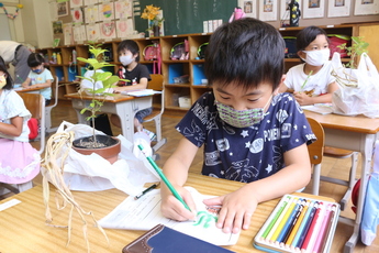教室で色鉛筆を手に机に向かう男子児童