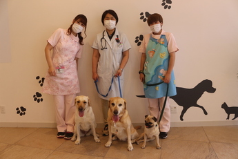 犬山動物総合医療センターのスタッフ女性3人と犬3頭