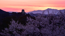 第27回犬山観光写真コンテスト　最優秀賞「春宵白帝城」見本画像