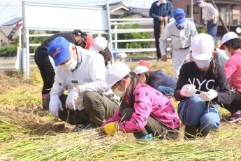 稲の縛り方を教わる子ども