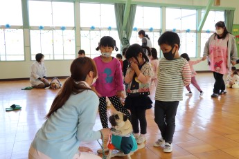 犬の背中をなでる園児