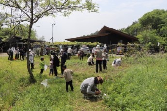 屋外で昆虫採集する参加者