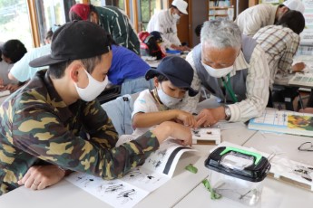 チョウの標本づくりをする親子