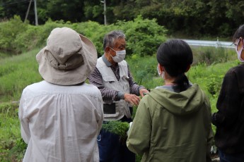 スタッフからアドバイス