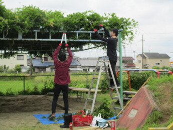 藤づるの剪定をする人