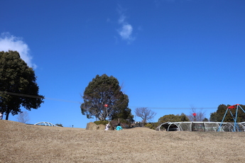 子どもと青空を撮影