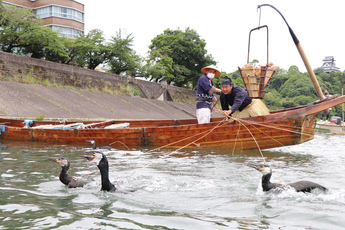 鵜を操る鵜匠の写真