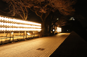 提灯ウォールが設置された木曽川遊歩道