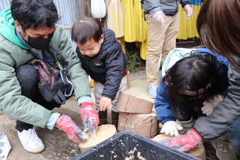 原木に植菌する参加者家族