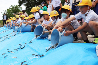 アユの放流を行う犬山西小学校児童ら