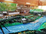 里山学センター企画展示の写真