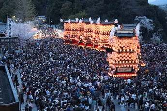 夜の犬山祭の写真