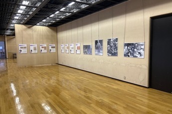 パネル展示の様子