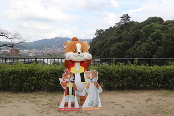 リニューアルしたわん丸くん