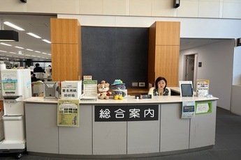 市役所での署名募集の様子