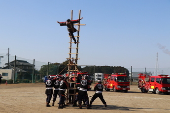 消防団員によるはしご乗り訓練