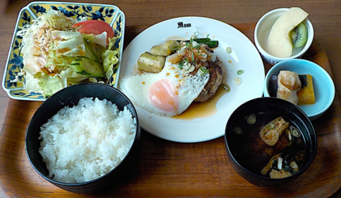おろし豆腐ハンバーグ野菜のせ写真